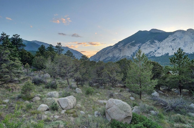 16050 Oppliger Dr, Nathrop, CO 81236 - photo 47