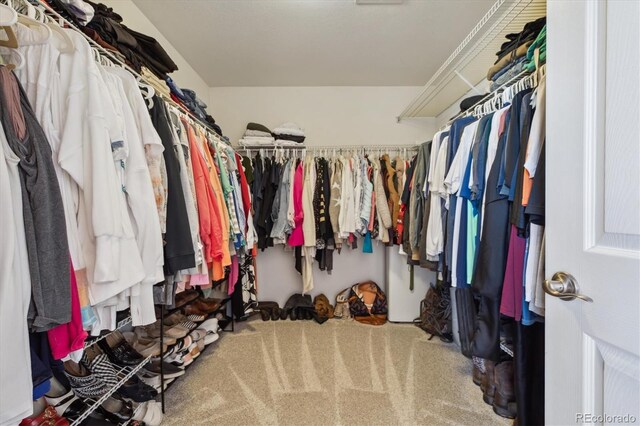 11866 High Desert Rd, Parker, CO 80134 - spacious closet featuring carpet floors