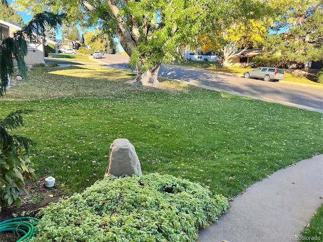 2789 S Ivan Way, Denver, CO 80227 - view of green lawn