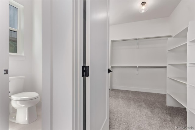 5608 Grandville Ave, Longmont, CO 80503 - bathroom featuring toilet