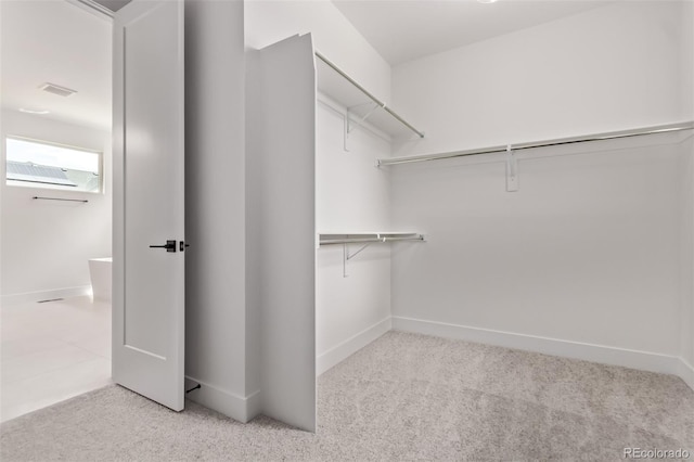 5608 Grandville Ave, Longmont, CO 80503 - walk in closet with carpet flooring