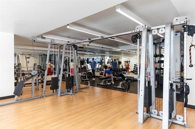 workout area featuring hardwood / wood-style flooring