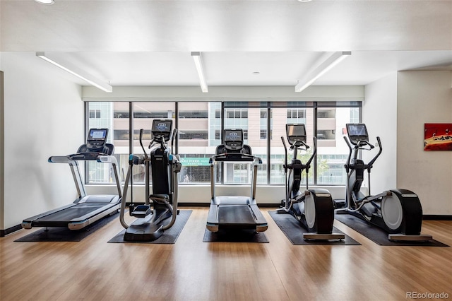 exercise room featuring wood-type flooring