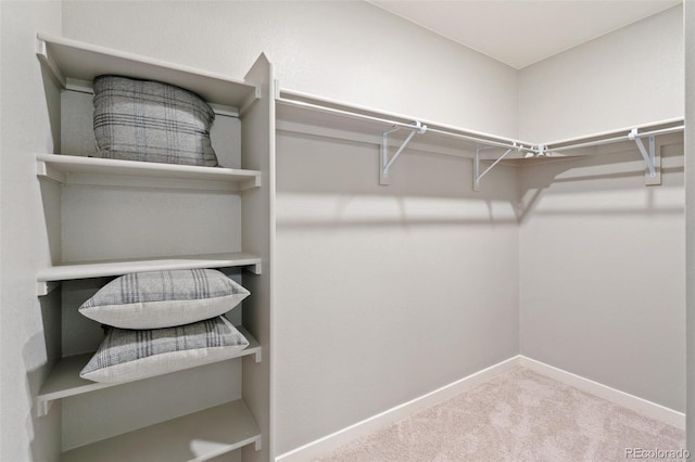 walk in closet with carpet