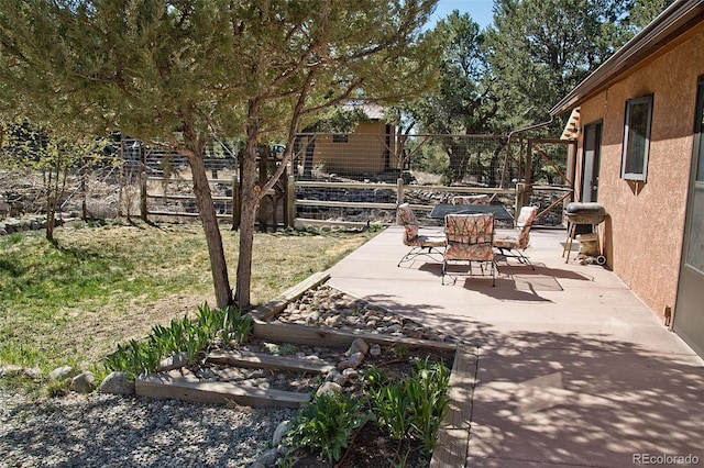 view of patio / terrace with area for grilling