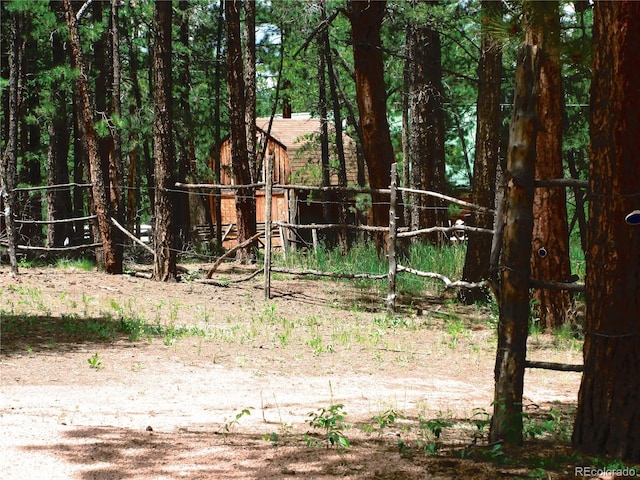 view of local wilderness