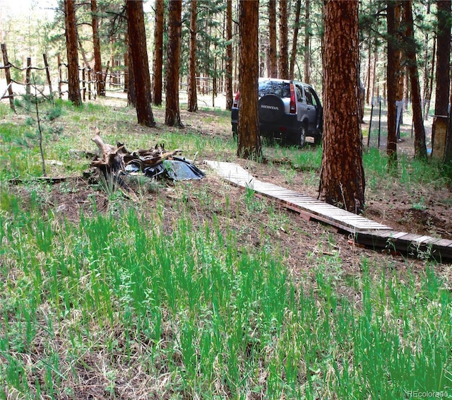 162 County Road-114, Bailey, CO 80421 - view of yard