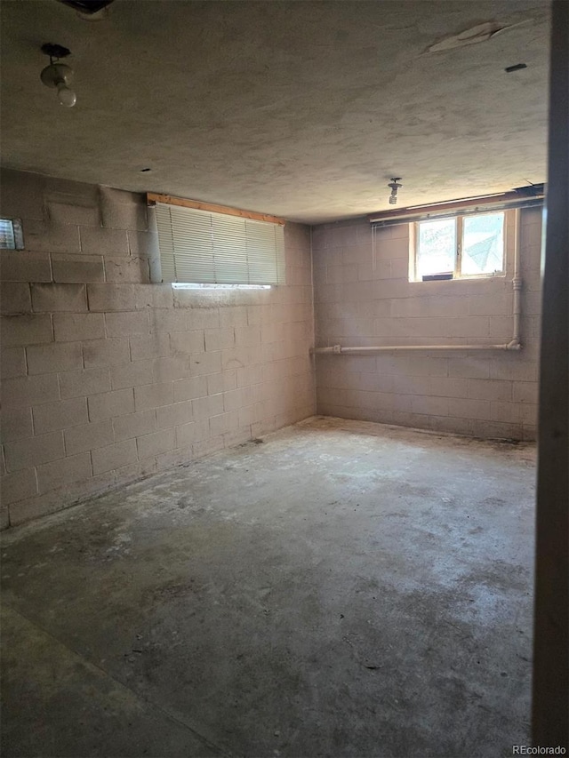 3350 S Eliot St, Englewood, CO 80110 - view of below grade area