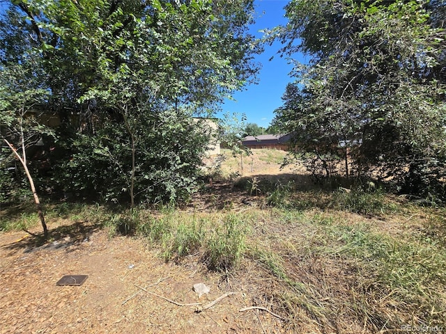 3350 S Eliot St, Englewood, CO 80110 - view of local wilderness