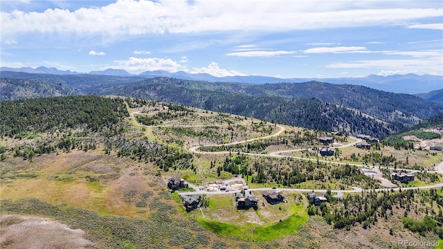 1100 Shoshoni Ln, Granby, CO 80446 - photo 30