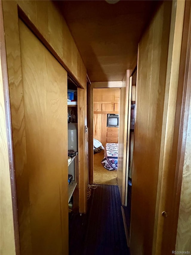 1245 Winchester Dr, Como, CO 80432 - view of corridor