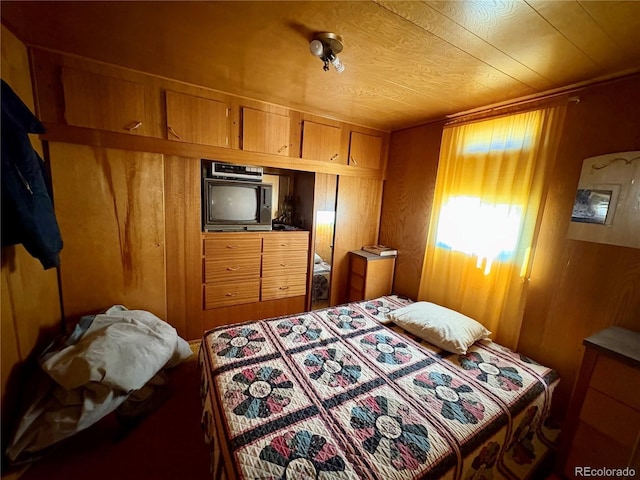 1245 Winchester Dr, Como, CO 80432 - bedroom with wooden walls and a closet