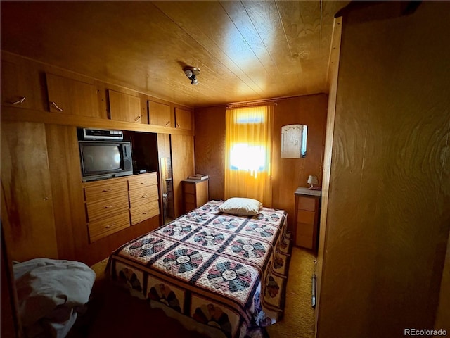 1245 Winchester Dr, Como, CO 80432 - bedroom with light carpet