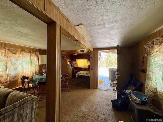 1245 Winchester Dr, Como, CO 80432 - interior space with a textured ceiling and wood walls