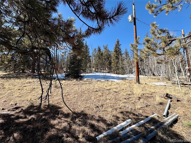 1245 Winchester Dr, Como, CO 80432 - view of yard