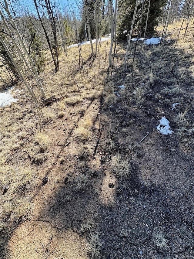 1245 Winchester Dr, Como, CO 80432 - view of nature