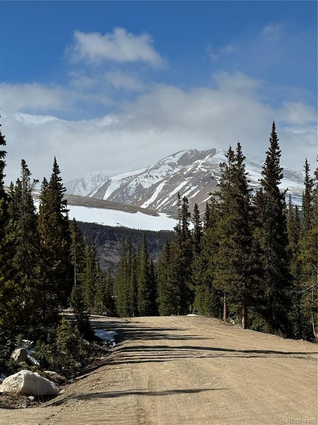 630 Silverheels Pl, Fairplay, CO 80440 - photo 1