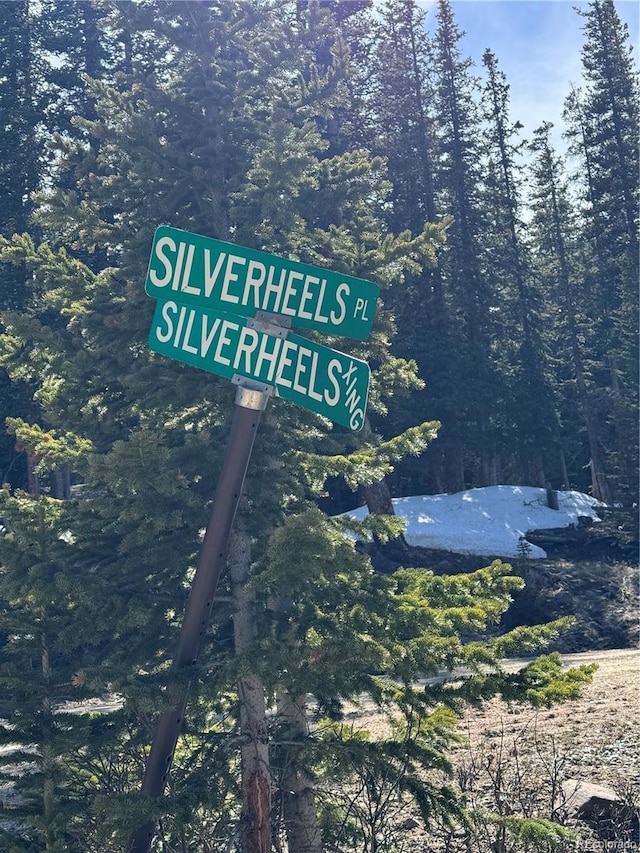 630 Silverheels Pl, Fairplay, CO 80440 - photo 5
