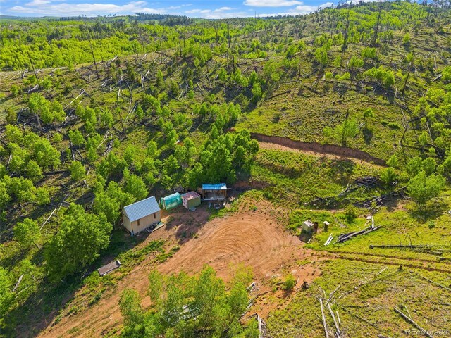 77 Lakeview Cir, Florissant, CO 80816 - photo 2