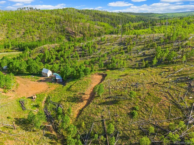 77 Lakeview Cir, Florissant, CO 80816 - photo 4