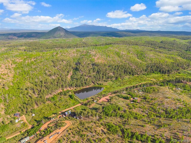 77 Lakeview Cir, Florissant, CO 80816 - photo 5