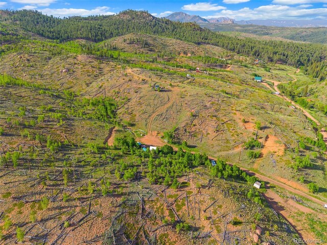77 Lakeview Cir, Florissant, CO 80816 - photo 7