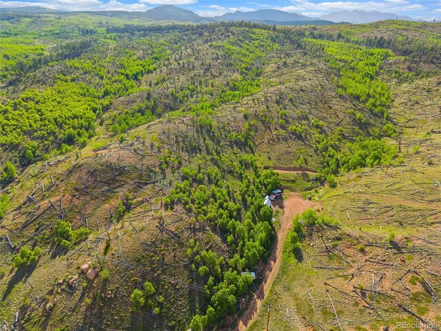 77 Lakeview Cir, Florissant, CO 80816 - photo 8