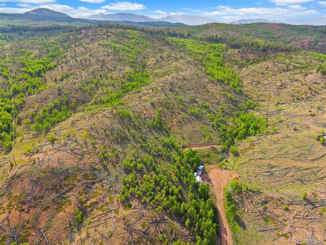 77 Lakeview Cir, Florissant, CO 80816 - photo 14