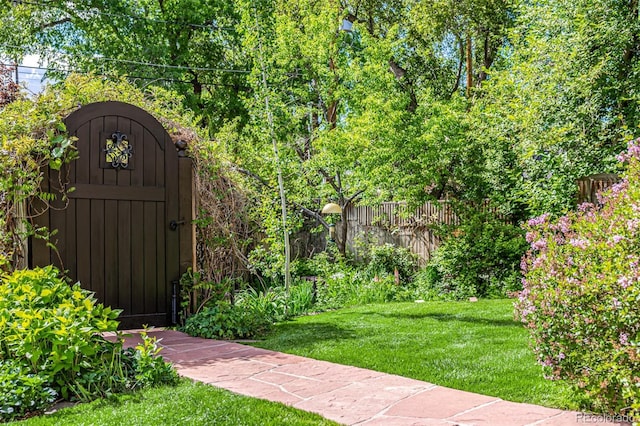 1795 N Monaco St Parkway, Denver, CO 80224 - view of green lawn