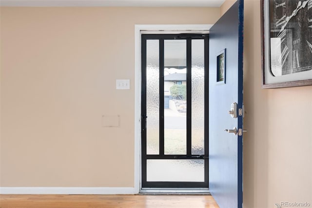 foyer featuring wood finished floors, baseboards, and a wealth of natural light