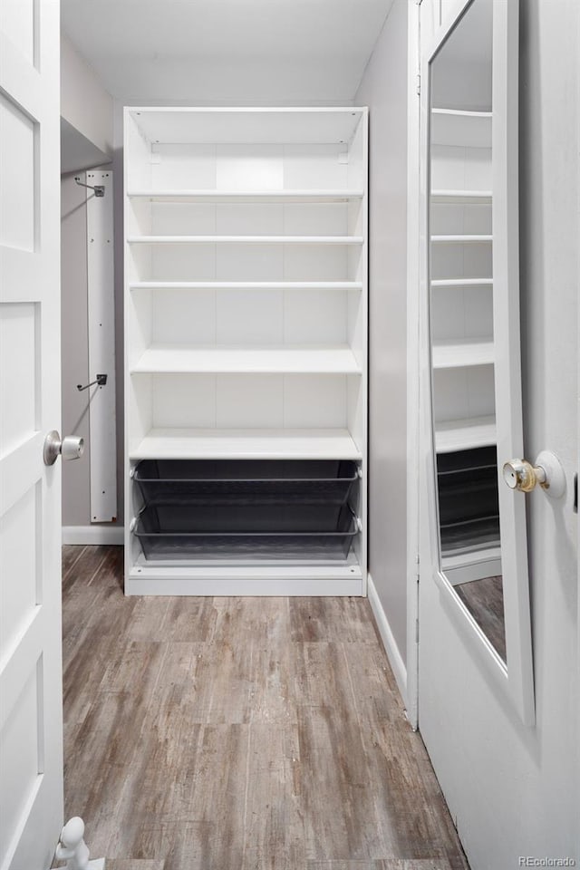 walk in closet with wood finished floors