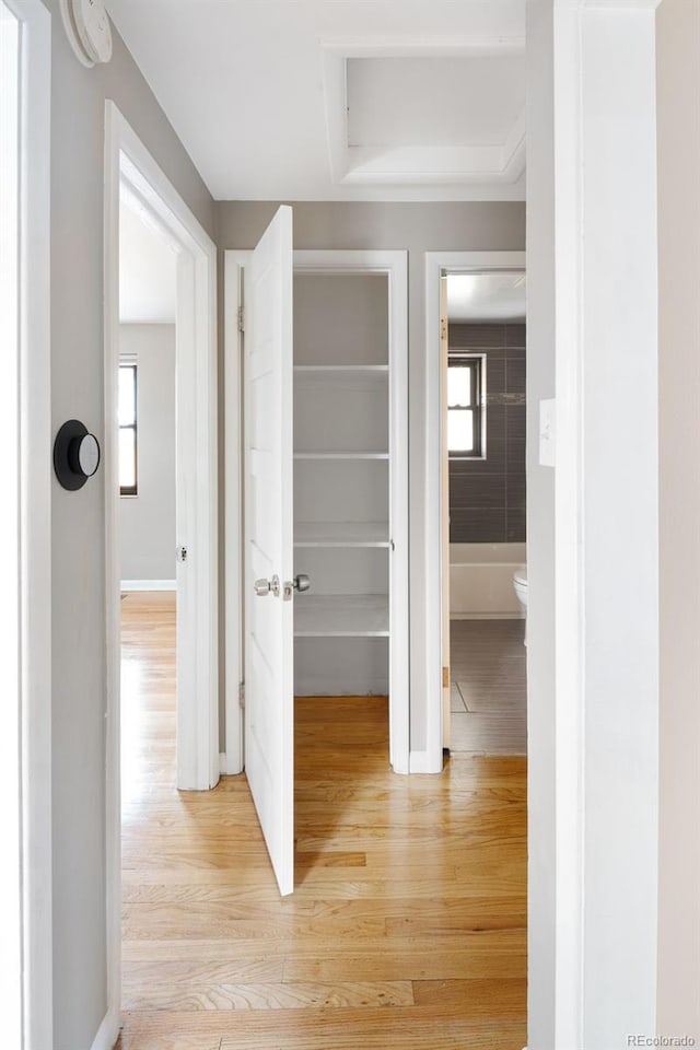 corridor with a healthy amount of sunlight and light wood finished floors