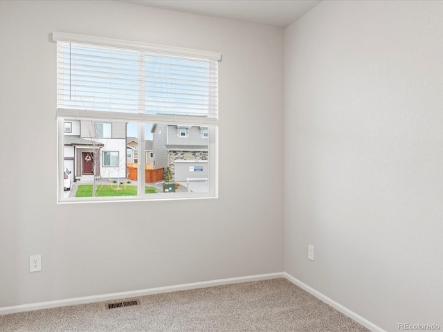 spare room with plenty of natural light, carpet flooring, and baseboards