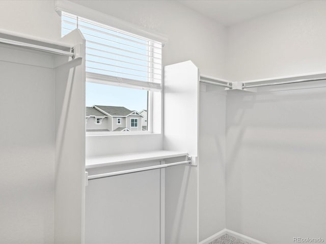 view of spacious closet