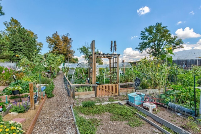 view of yard with a vegetable garden