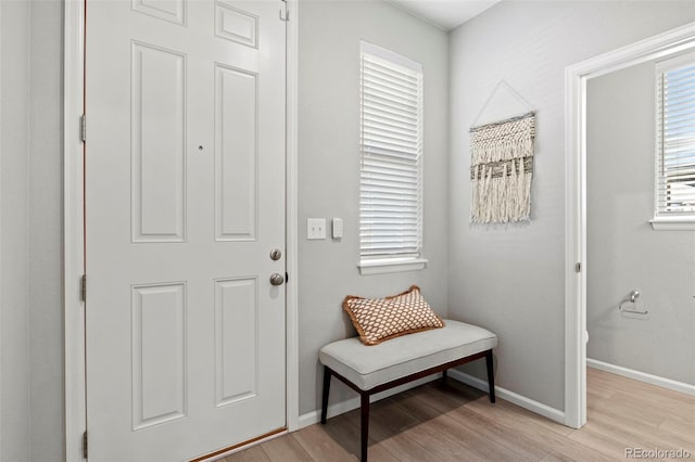 foyer entrance featuring light wood-type flooring