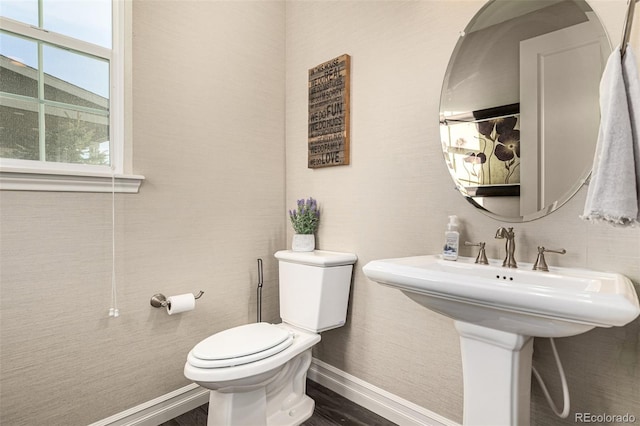 bathroom with wood-type flooring and toilet