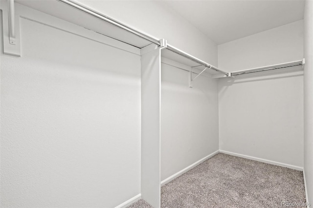 spacious closet featuring light carpet