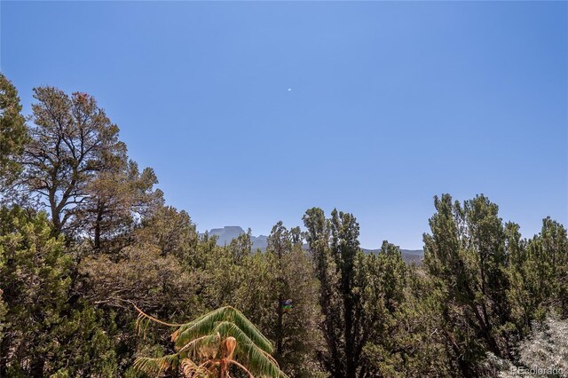 34902 County Rd 20.2, Trinidad, CO 81082 - photo 39