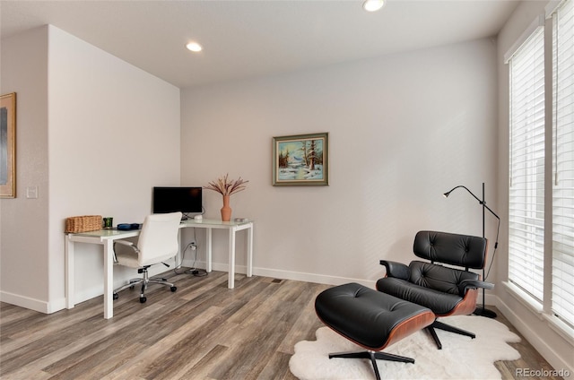 office space featuring a wealth of natural light and wood-type flooring