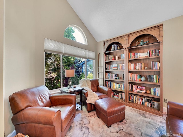1052 Northampton Ct, Highlands Ranch, CO 80126 - living area featuring high vaulted ceiling and built in shelves