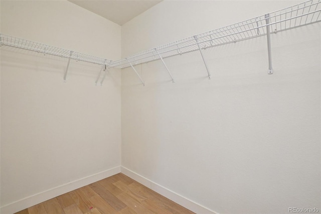 17145 Waterhouse Cir Unit F, Parker, CO 80134 - spacious closet with light wood-type flooring