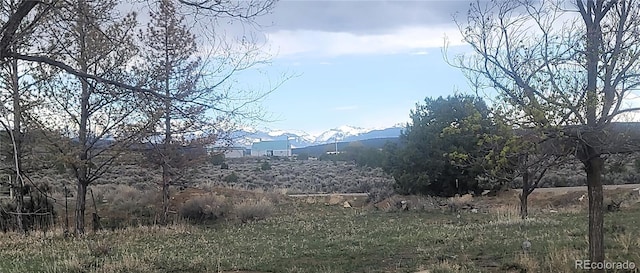 23855 Horsefly Rd, Montrose, CO 81403 - photo 10