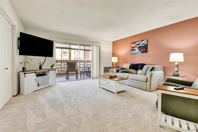 carpeted living area featuring a textured ceiling