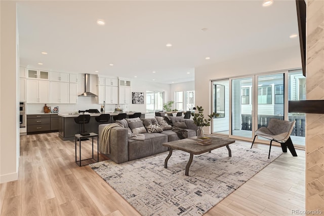 living room featuring light hardwood / wood-style floors