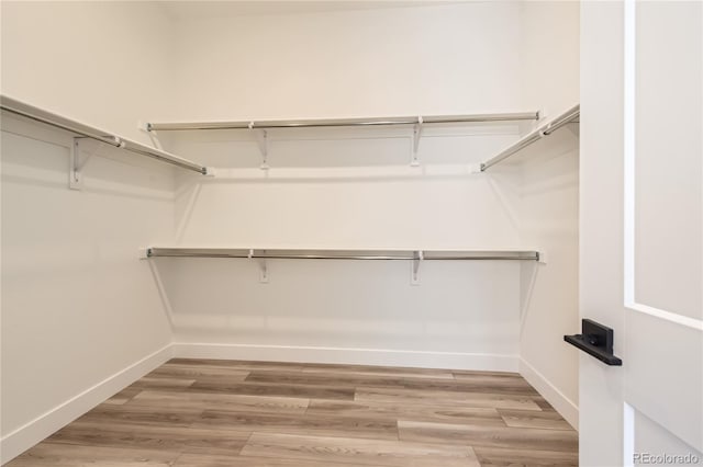 walk in closet with light wood-type flooring