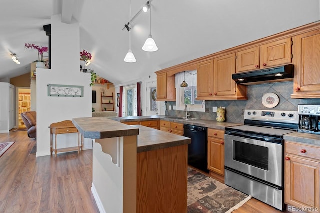 kitchen with black dishwasher, under cabinet range hood, stainless steel electric stove, and lofted ceiling