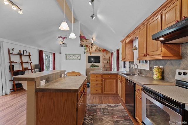kitchen with light wood-style floors, stainless steel electric stove, black dishwasher, under cabinet range hood, and a sink