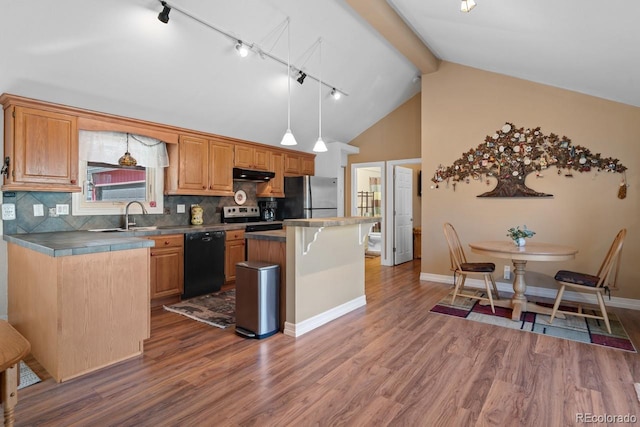 kitchen with track lighting, a kitchen island, under cabinet range hood, stainless steel appliances, and a sink