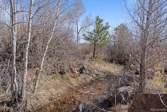 view of landscape